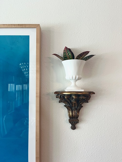 Plant on gold shelf next to wall art