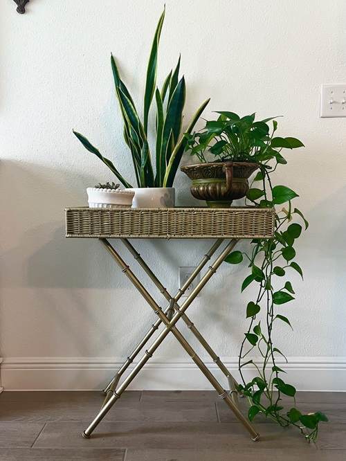 Gold side table with plants