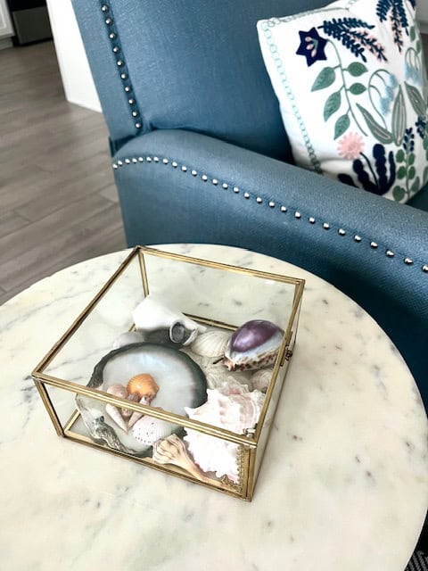 Seashells in a glass box