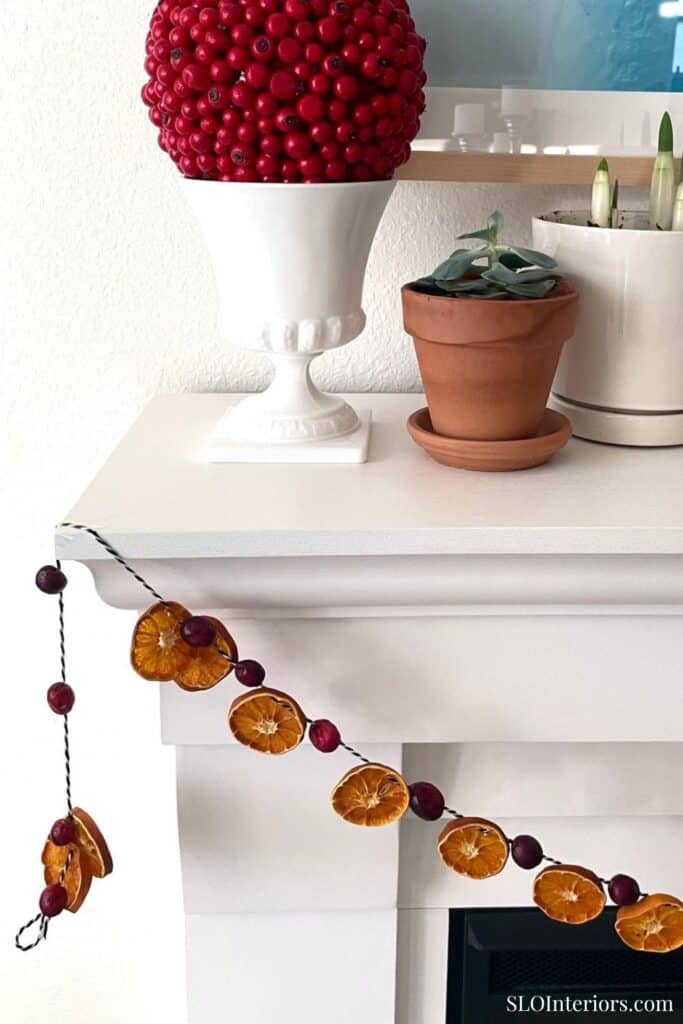 Red decorative berry arrangement in a white vase on a white shelf with potted plants and autumn-them.