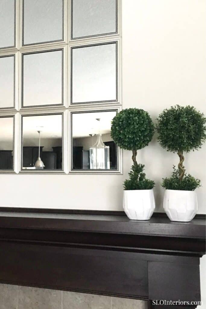 Modern interior decor with decorative potted plants and wall mirrors at SLO Interiors.