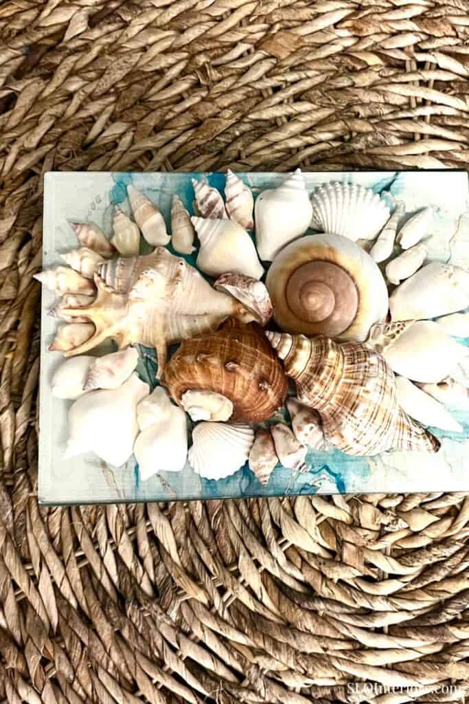 Collection of seashells on a glass tray with woven background.