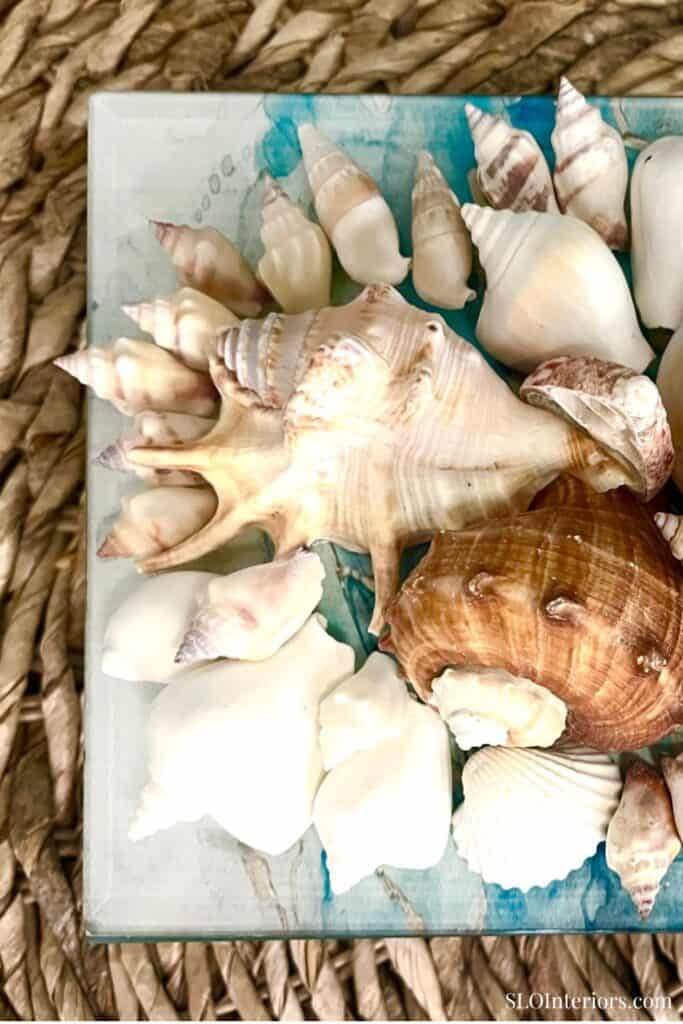 Collection of seashells on a glass surface with a woven background.