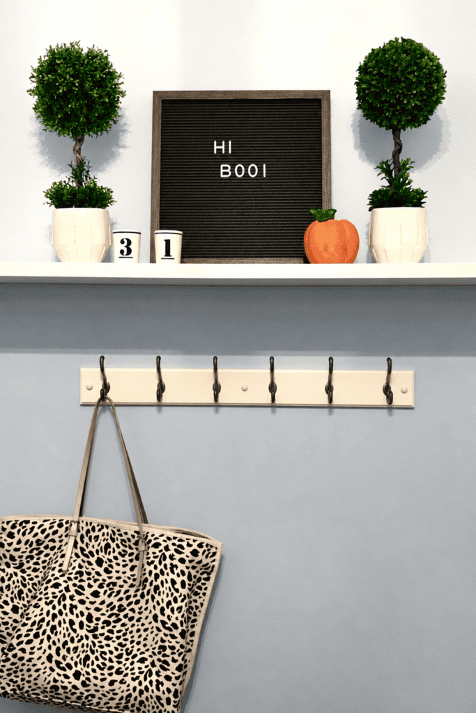 Decorative entryway with potted plants, a message board, and a leopard print bag.
