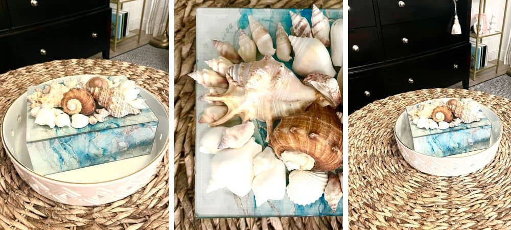 Decorative seashells and coastal-themed decor from SLO Interiors.